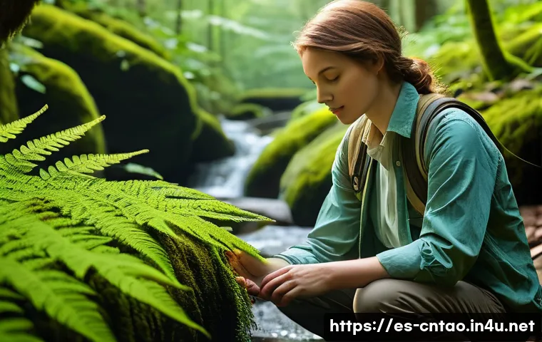 성리학의 개념 관련 이미지 1